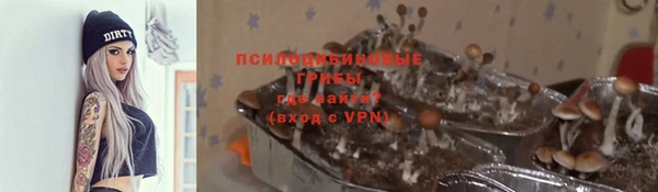 героин Белокуриха