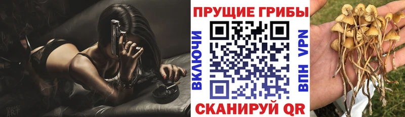 Псилоцибиновые грибы Magic Shrooms Ахтырский